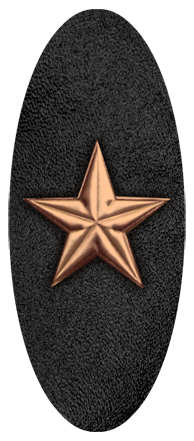 Star Bronze-Black